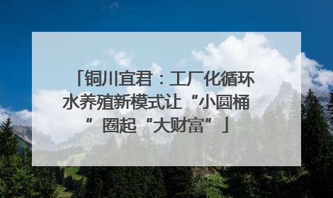 铜川宜君：工厂化循环水养殖新模式让“小圆桶”圈起“大财富”